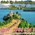 Thủ tục Thành Lập Doanh Nghiệp tại Gia Lai