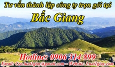Tư vấn Thủ tục Thành lập Công ty tại Thành phố Bắc Giang