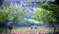 Tư vấn Thủ tục Thành lập Công ty tại Thành phố Sơn La