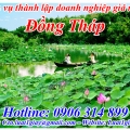 Thủ tục Thành Lập Doanh Nghiệp tại Đồng Tháp