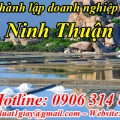 Thủ tục Thành Lập Doanh Nghiệp tại Ninh Thuận