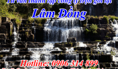 Dịch vụ Tư vấn Thủ tục Thành lập Công ty tại Lâm Đồng giá rẻ nhất