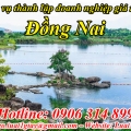 Thủ tục Thành Lập Doanh Nghiệp tại Đồng Nai