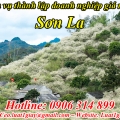Thủ tục Thành Lập Doanh Nghiệp tại Sơn La