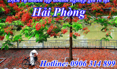 Dịch vụ Tư vấn Thủ tục Thành lập Công ty tại Hải Phòng giá rẻ nhất