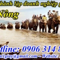 Thủ tục Thành Lập Doanh Nghiệp tại Đắk Nông