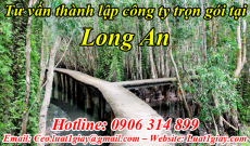 Dịch vụ Tư vấn Thủ tục Thành lập Công ty tại Long An giá rẻ nhất